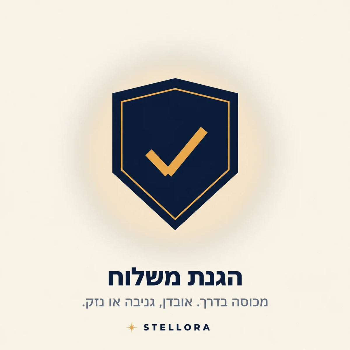 הגנת משלוח: כיסוי במקרה של אובדן, גניבה או נזק בדרך אליכם